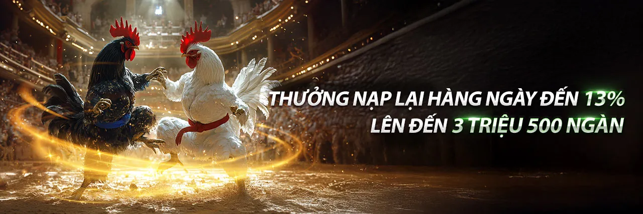 Đá Gà Trực Tiếp Thomo Ngày 27 Tháng 05